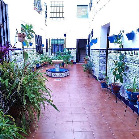 La Casa Del Patio En Pleno San Lorenzo Kordoba Zewnętrze zdjęcie